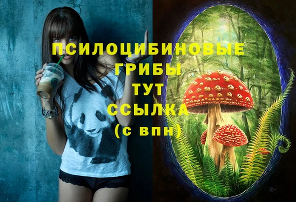 прущие крисы Алексин