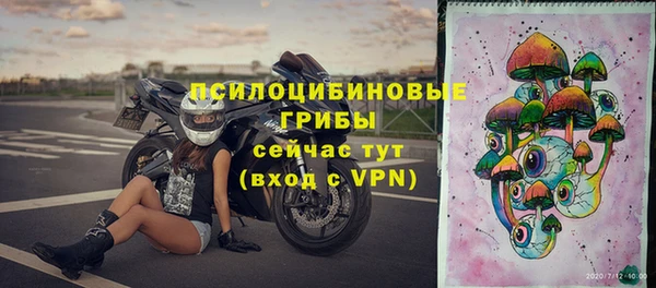 прущие крисы Алексин