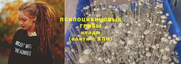 прущие крисы Алексин