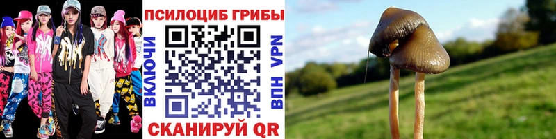 Галлюциногенные грибы GOLDEN TEACHER Жигулёвск